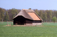 837323 Gezicht op de schaapskooi bij de boerderij Groot Wolfswinkel (Utrechtseweg 1) te Renswoude.